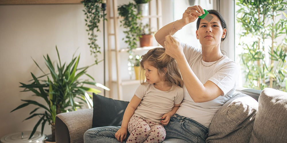 Lousy Situation: Everything You Need to Know About Head Lice Preventio ...